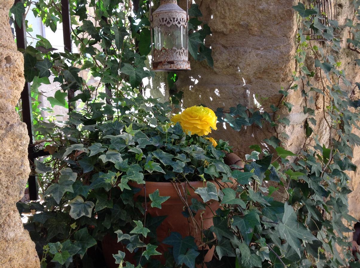 Bed and Breakfast Un Patio en Luberon Ansouis Exterior foto